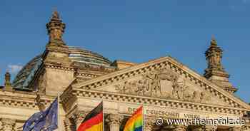 Streit um Regenbogenflagge vor dem Rathaus - Limburgerhof - Rheinpfalz.de