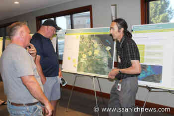 Mapping of Island river’s floodplain to aid in future flooding risks - Saanich News