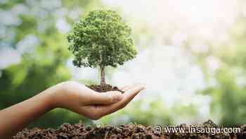 Clarington, Brock added to Durham Region's LEAF tree-planting program | inDurham - insauga.com