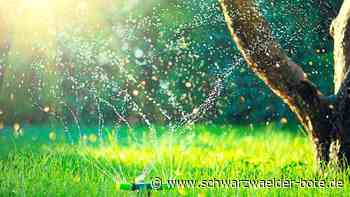 Wasser sparen in Neubulach: Der nächste Schritt sind Verbote