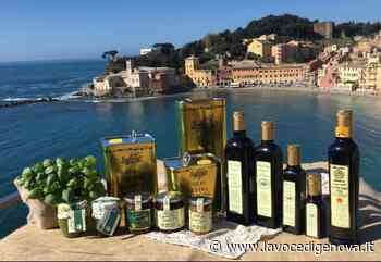 A Sestri Levante arriva "Evo Tour", un percorso nella storia dell'olio extra vergine d'oliva ligure - LaVoceDiGenova.it