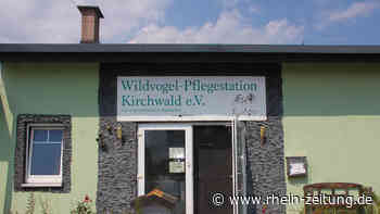 Wenn Helfer in Not geraten: Wildvogel-Pflegestation Kirchwald braucht Hilfe - Rhein-Zeitung