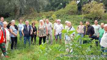 Vorsorgekonzept der VG Pellenz: Kretz plant eine Gewässeraue am Krufter Bach - Rhein-Zeitung