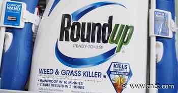Use Roundup Weed Killer? You May Be Owed Money     - CNET