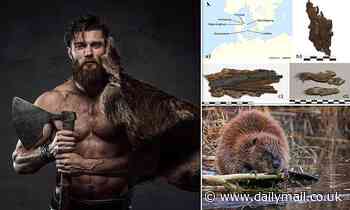 Danish Vikings wore exotic beaver furs to demonstrate their affluence and social status