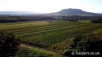 Tiwari House joins the Bancroft Portfolio - Harpers Wine & Spirit Trade Review