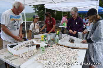 The Countdown Project gets built | Bancroft this Week - Bancroft This Week