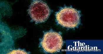 UK scientists take ‘promising’ step towards single Covid and cold vaccine - The Guardian