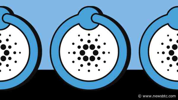 Cardano Moves In The Red With The Market, Can The Price Of ADA Stay Above $0.46?