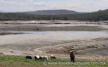 Afecta la sequía a los agricultores de Puebla - El Sol de Hermosillo