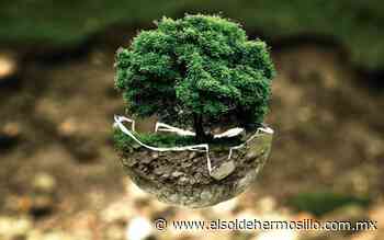 ¿Ingeniería en Ciencias Ambientales en la Unison? - El Sol de Hermosillo