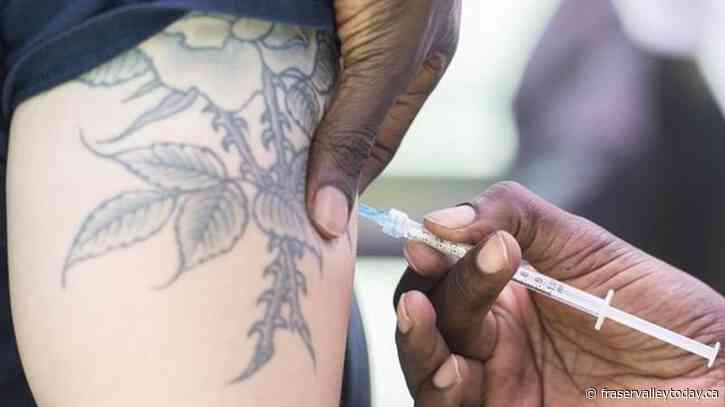 Canada’s top doc encourages safe sex, fewer partners to prevent spread of monkeypox