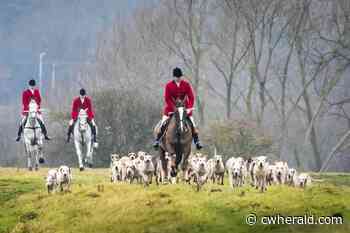 Lake District trail hunting ban criticised as 'knee-jerk reaction' - The Cumberland & Westmorland Herald