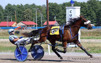 Fairs await Maine freshmen after Cumberland finale - Harnesslink