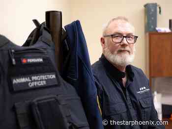 Q&A: Animal Protection Services of Saskatchewan arrives in Saskatoon - Saskatoon Star-Phoenix