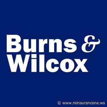 Burns & Wilcox to offer Loadsure’s AI-powered insurance coverage to brokers across Canada - Reinsurance News