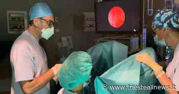 Trieste, conclusa al “Burlo” la prima Summer School italiana in... - Trieste News