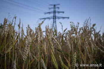 Incendio Carso: Prefettura, a Trieste elettricità slovena - Cronaca - Agenzia ANSA