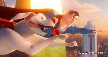 'DC League of Super-Pets' Origin Story Involves an Actual Animal Shelter     - CNET