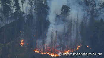 Experte fordert Umdenken bei Waldbrandbekämpfung in Deutschland: „Hinken einfach hinterher“