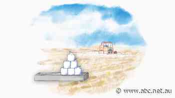 The war, food shortages and tens of millions going hungry: Inside the crisis crippling the global supply chain