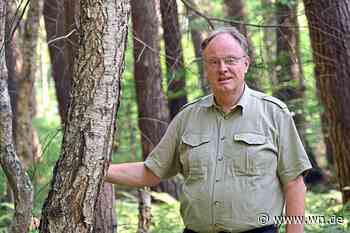 Der Mischwald als Lebenswerk