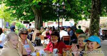 Ausflug mit „Alt – arm – allein“ löst Freude aus - Kaiserslautern - Rheinpfalz.de