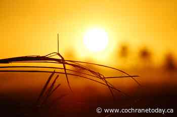 Cochrane under Environment Canada heat warning - Cochrane Today