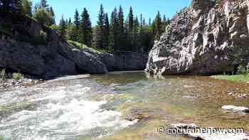 NDP wants to scrap the Kananaskis pass - CochraneNow.com