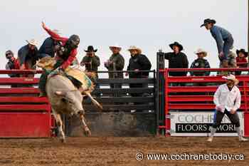 Thrills and spills of Cochrane Classic Bull Riding returning next weekend - Cochrane Today