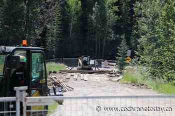Bear tracks reported under 4 Avenue bridge in Cochrane - Cochrane Today