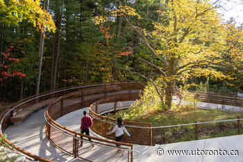 U of T Scarborough's Valley Land Trail recognized with urban architecture award: The Toronto Star - University of Toronto