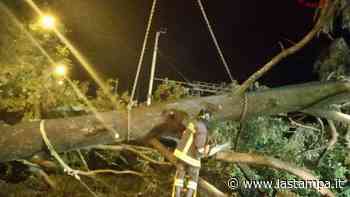 Nubifragi e temporali in Lombardia: salvi gli scout bloccati in Valtellina. Danni alla rete ferroviaria Milan… - La Stampa