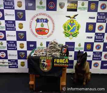 Mais de 8 quilos de drogas são apreendidos em Coari com auxílio de cão policial - Informe Manaus