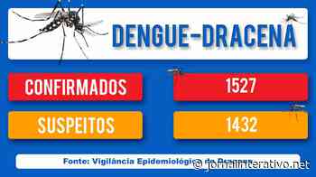DENGUE-DRACENA - Jornal Interativo