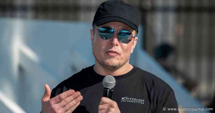 'Zero Journalistic Integrity:' Elon Musk Hits Back at MSM 'Hit Piece' Alleging Adulterous Affair