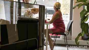 Over 6000 people have registered entrepreneur accounts in Estonia - ERR News