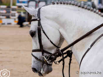 Dimitry Van Looveren grijpt hoofdwinst in Wuustwezel - Equnews