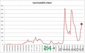 Covid19 a Noci: 261 positivi nella settimana 11-17 luglio 2022 - NOCI24.it