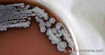 Bacteria that can cause deadly infections found in U.S. soil and water for the first time