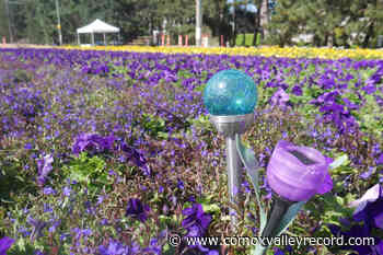 Vancouver Island man keeps flower flag alive with message for Ukraine - Comox Valley Record