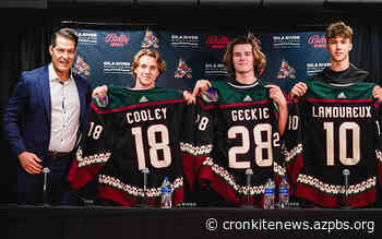 Coyotes enter rebuild mode with three picks in 2022 NHL Draft - Cronkite News