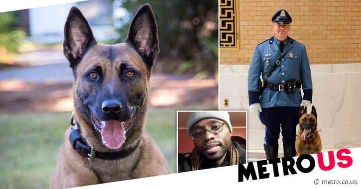 Hero police dog dies after disarming suspect and saving his handler’s life