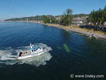 Several bystanders jump into the water to pull pilot to safety after crash