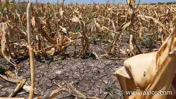 Austin has "legitimate shot" in breaking all time triple-digit record - Axios