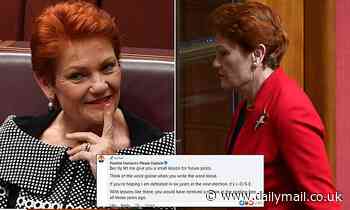 Pauline Hanson trolls a critic in a Facebook post by giving her a basic spelling lesson