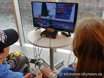 Video games help bust social barriers, says Cambridge gamers group - Kitchener.CityNews.ca