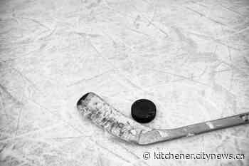 Local sexual assault support centre providing training to Hockey Canada - Kitchener.CityNews.ca