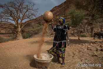 High-level Dialogue Reconfirms African Development as UN Priority | News | SDG Knowledge Hub | IISD - IISD's SDG Knowledge Hub