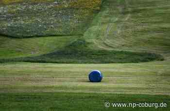 Landwirtschaft - Kulturlandschaftsprogramm freut Vogelschützer und Biobauern - Neue Presse Coburg